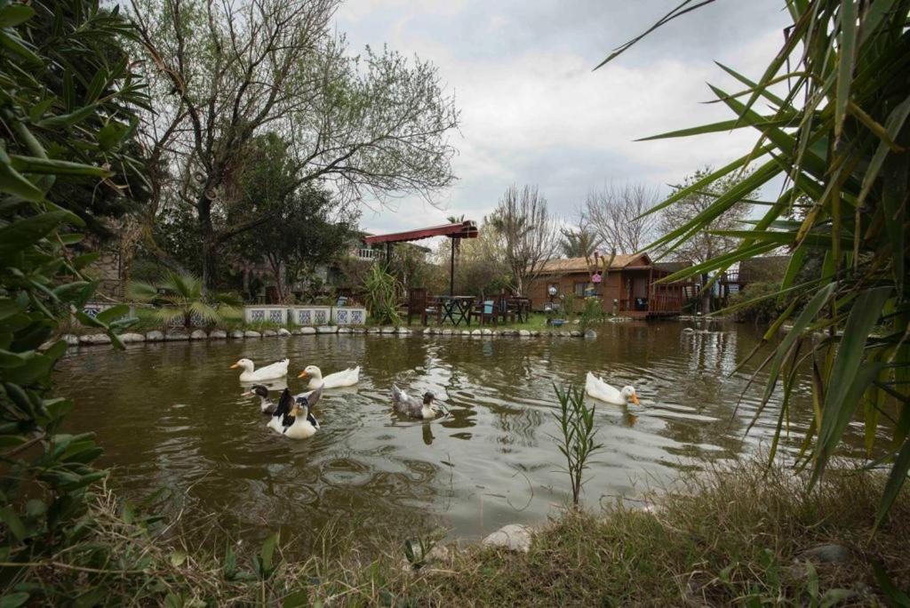 Otantik Tas Ev Bed & Breakfast Dalaman Ngoại thất bức ảnh