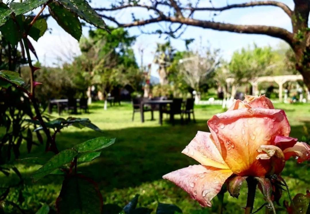 Otantik Tas Ev Bed & Breakfast Dalaman Ngoại thất bức ảnh