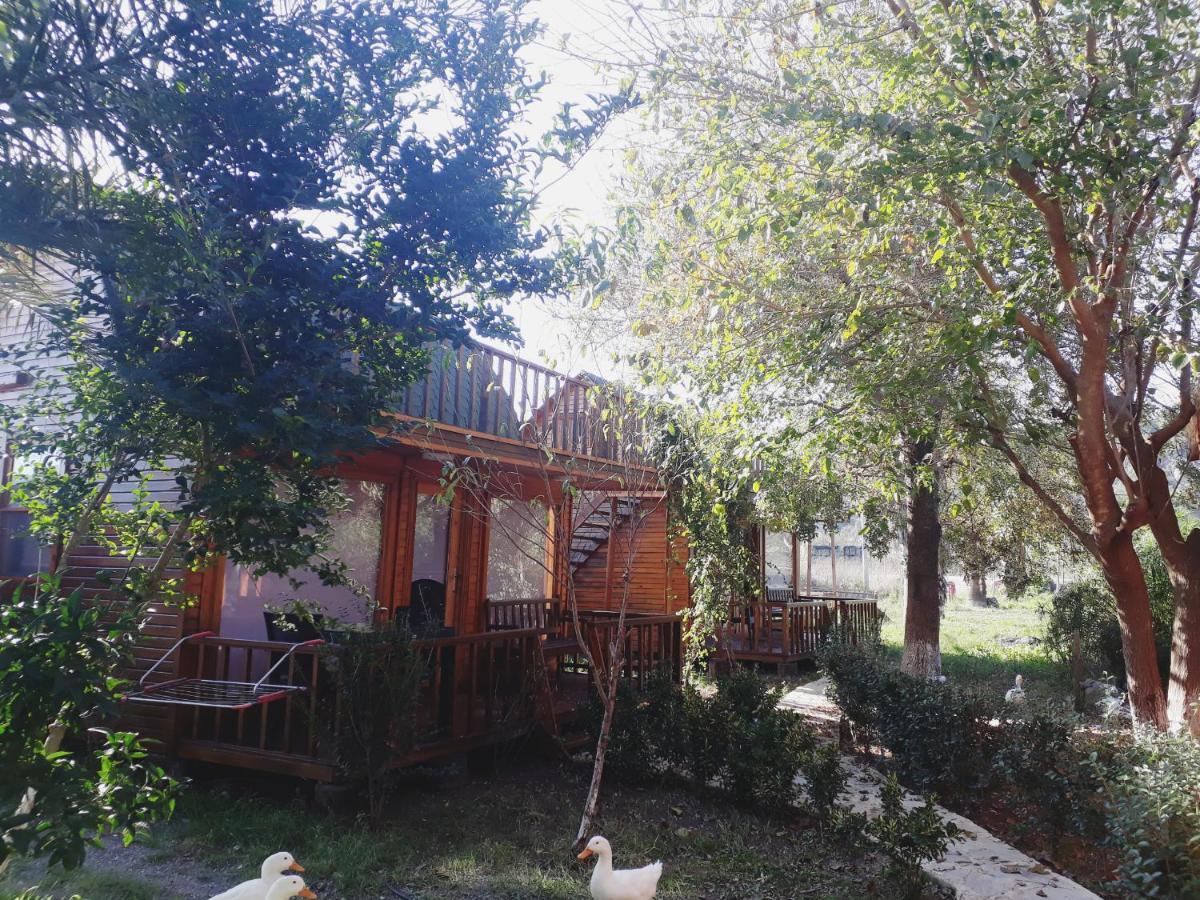 Otantik Tas Ev Bed & Breakfast Dalaman Ngoại thất bức ảnh